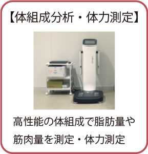 体組成分析・体力測定